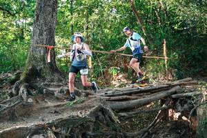 BIB: 
                            <button type="button" onclick="openModal(27549672)" class="btn btn-primary btn-sm float-right btn-popup" data-toggle="modal" data-target=".modal-high-quality">
                        <i class="fas fa-shopping-cart"></i> Add to Cart
                    </button>
                                            <button type="button" onclick="isThisMe(27549672, true)" class="btn btn-success btn-sm float-right btn-popup btn-isme hidden" data-toggle="tooltip" data-placement="bottom" title="นี่คือรูปของคุณใช่ไหม คลิกที่นี่เพื่อเอาเข้าอัลบั้ม">
                        <i class="fas fa-plus"></i> Add to album
                    </button>
                    <button type="button" onclick="isThisMe(27549672, false)" class="btn btn-warning btn-sm float-right btn-popup btn-isnotme hidden">
                        <i class="fas fa-ban"></i> Remove from album
                    </button>